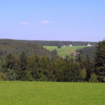 Auf der Eichbachhöhe, Blick auf Auerhahn