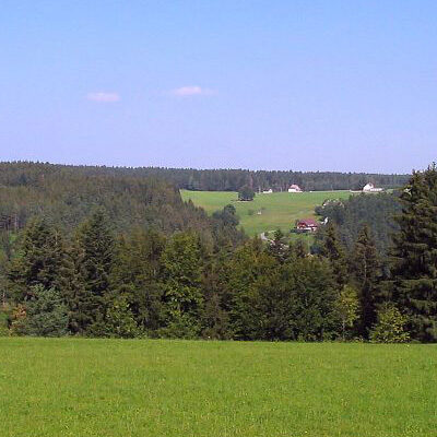 Auf der Eichbachhöhe, Blick auf Auerhahn