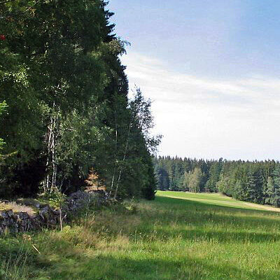 Auerhahnwanderweg auf der Eichbachhöhe