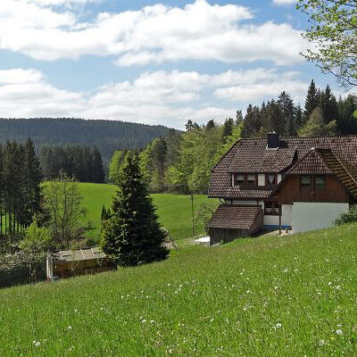 Auerhahnwanderweg auf dem Sommermoos