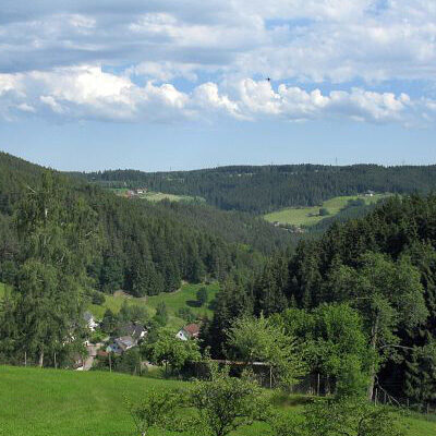 Blick ins Tal vom Sommermoos