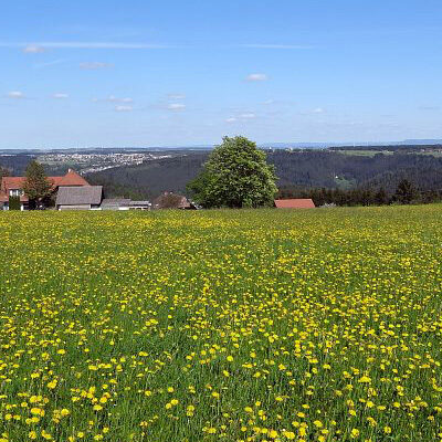 Purpen, Blick auf Schramberg-Sulgen