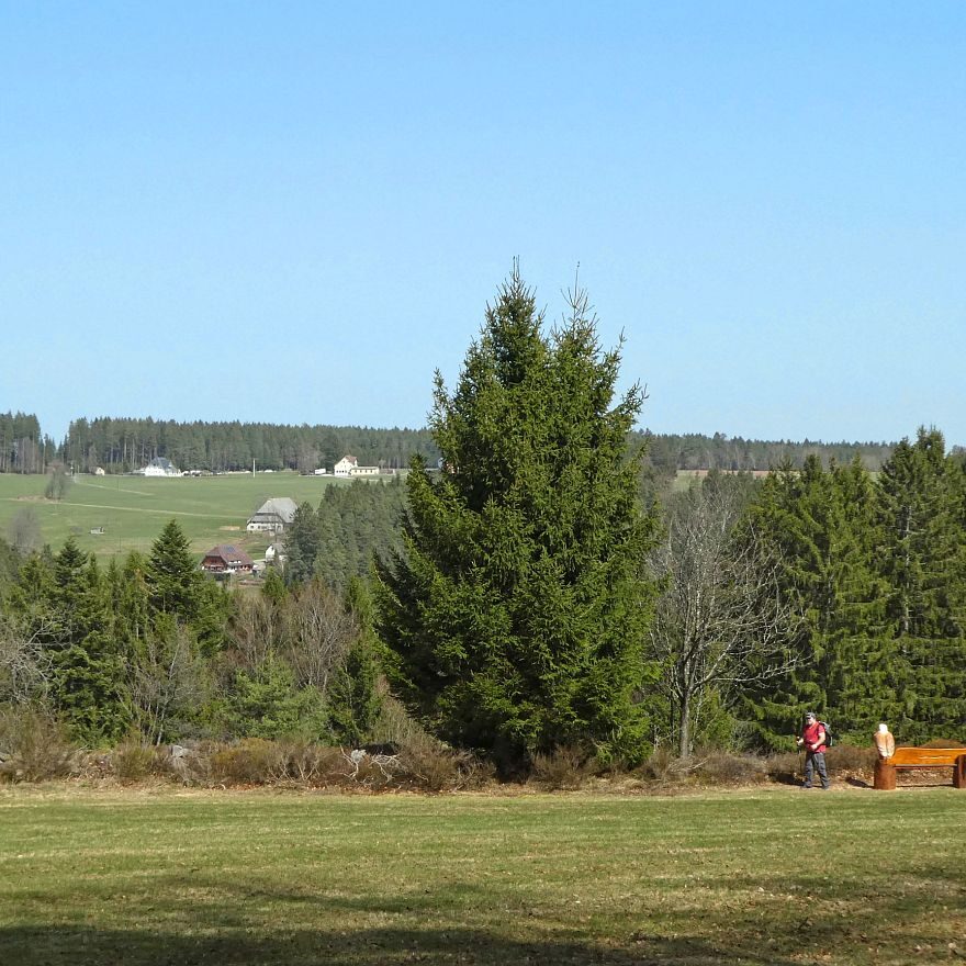 Adlerbank mit Aussicht Eichbachhoehe 1