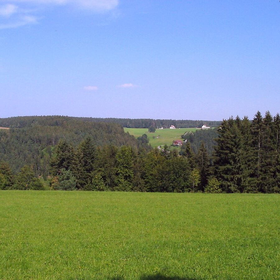 Adlerbank mit Aussicht Eichbachhoehe 2