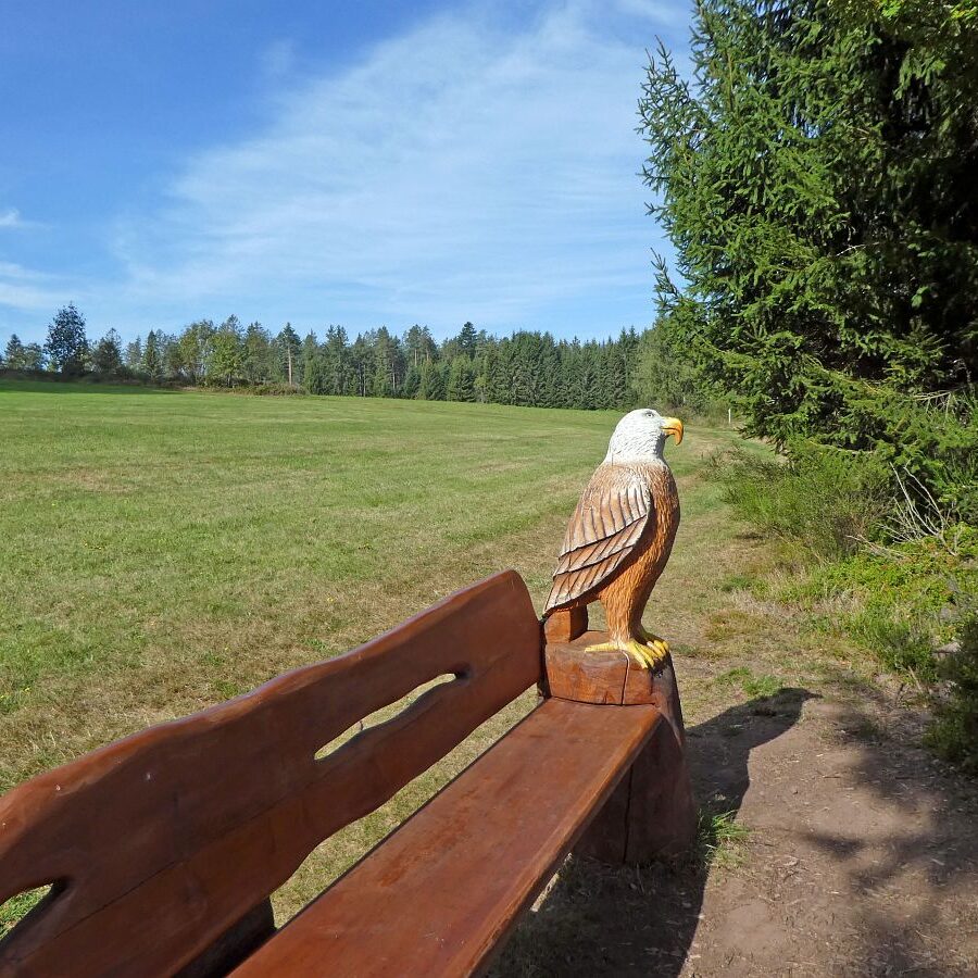Adlerbank mit Aussicht Eichbachhoehe 4