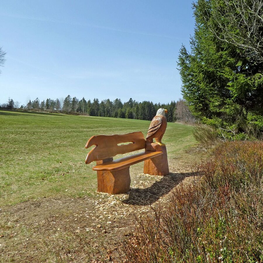 Adlerbank mit Aussicht Eichbachhoehe 5