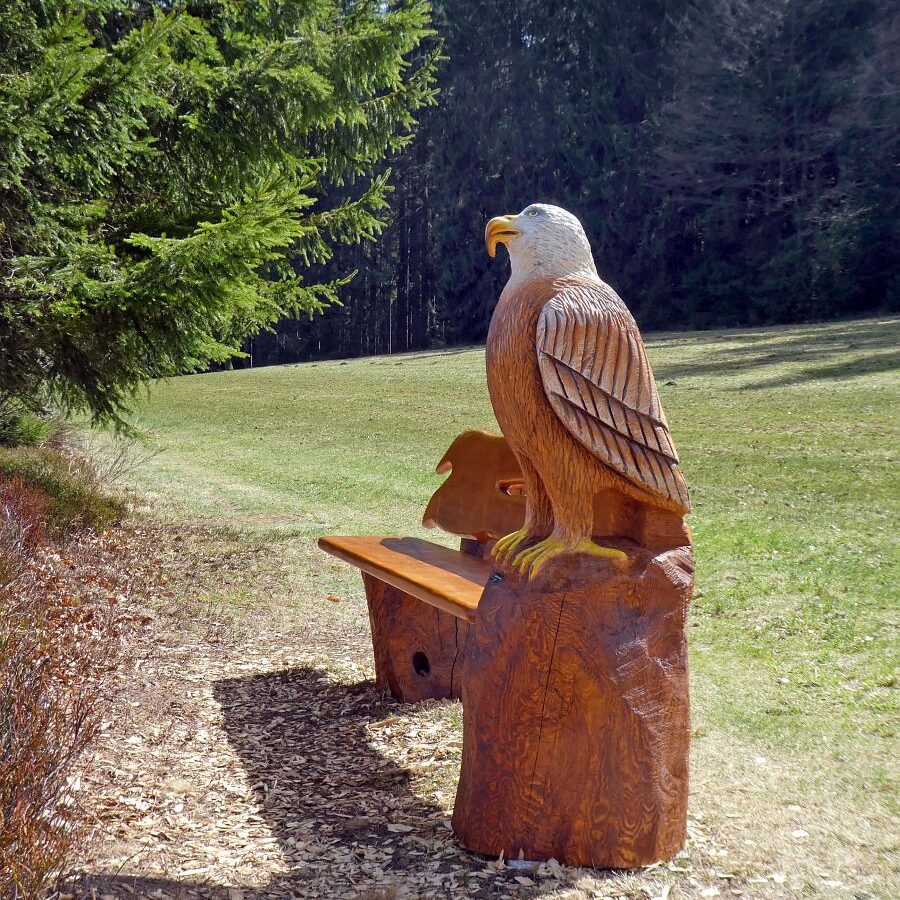 Adlerbank mit Aussicht Eichbachhoehe 6