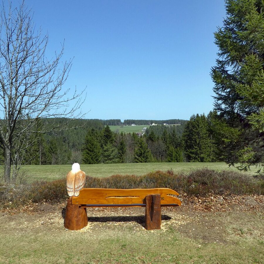 Adlerbank mit Aussicht Eichbachhoehe 7
