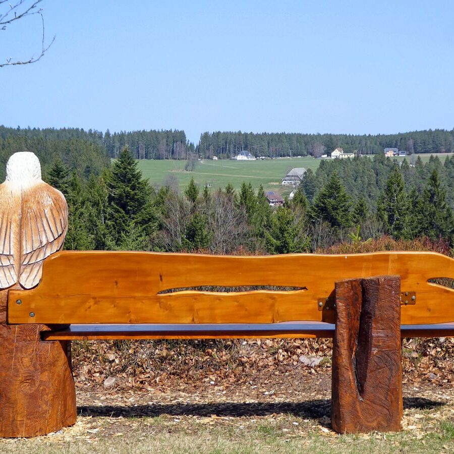 Adlerbank mit Aussicht Eichbachhoehe 8