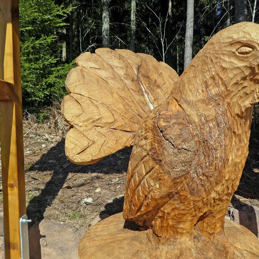 Auerhahn Balzplatz mit Holzskulptur und Balzgeraeusch 8