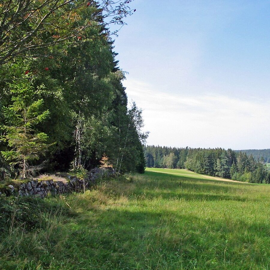 Auerhahn Nest Sitzgruppe mit grossen Steinen 1