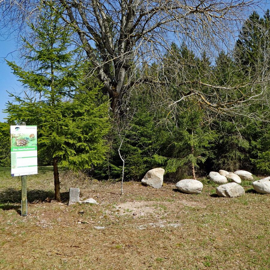 Auerhahn Nest Sitzgruppe mit grossen Steinen 2