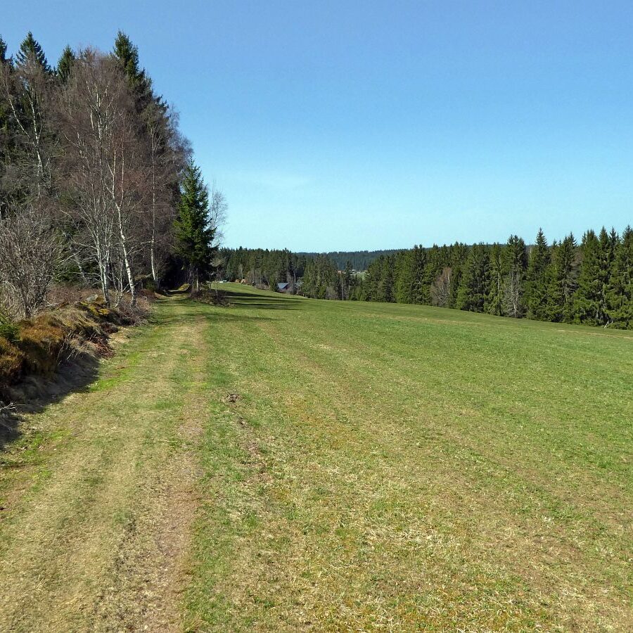 Auerhahn Nest Sitzgruppe mit grossen Steinen 3