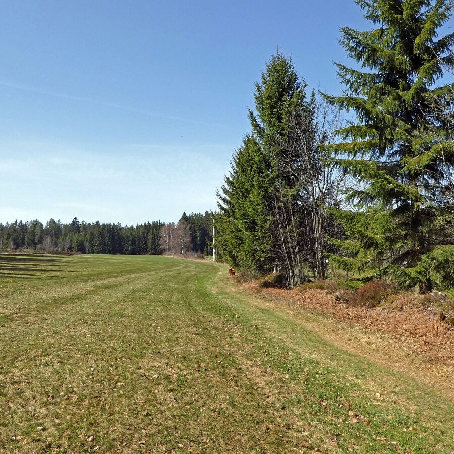 Auerhahn Nest Sitzgruppe mit grossen Steinen 4
