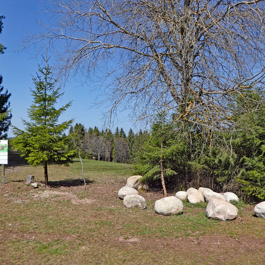 Auerhahn Nest Sitzgruppe mit grossen Steinen 5
