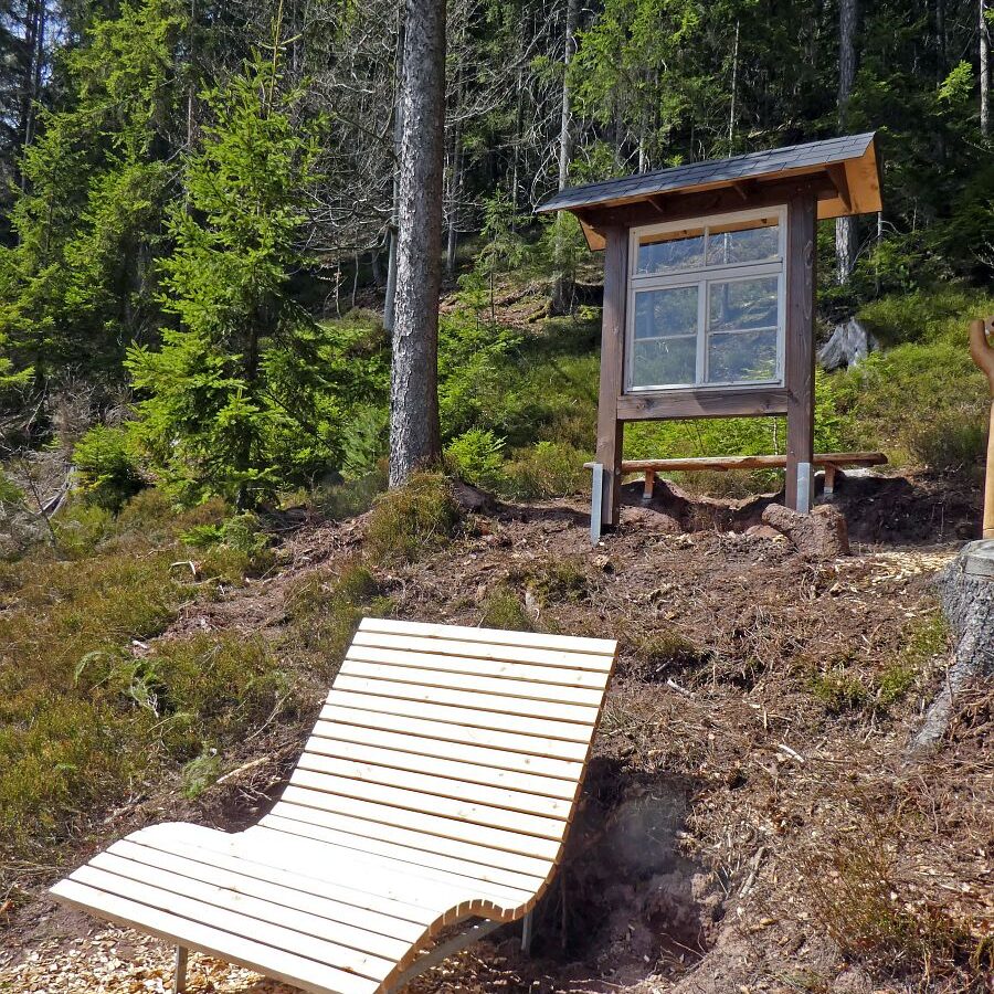 Auerhahn Schlafplatz Aussichtspunkt 1
