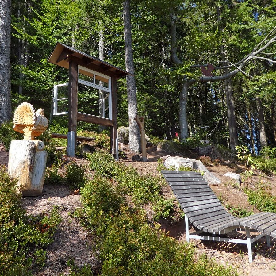 Auerhahn Schlafplatz Aussichtspunkt 10
