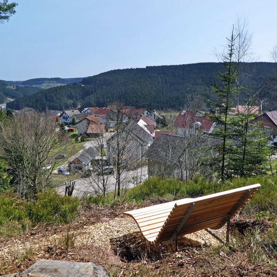 Auerhahn Schlafplatz Aussichtspunkt 4