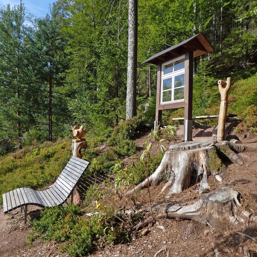 Auerhahn Schlafplatz Aussichtspunkt 6