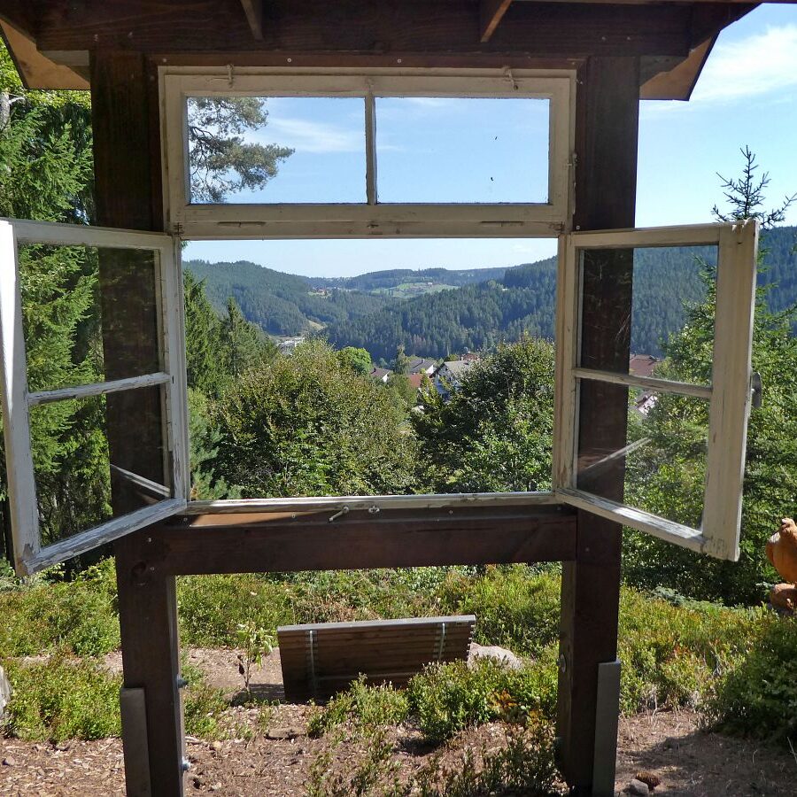 Auerhahn Schlafplatz Aussichtspunkt 9