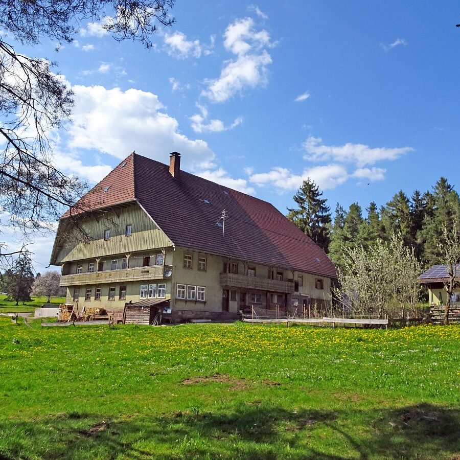 Geschichte des Auerhuhns Remsbach Bauernhof 1