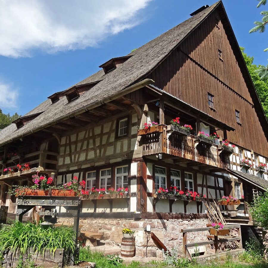 Geschichte des Auerhuhns Remsbach Bauernhof 3