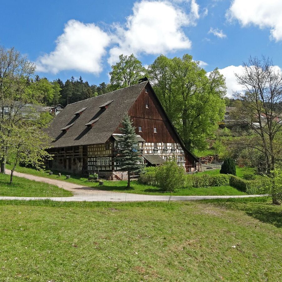 Geschichte des Auerhuhns Remsbach Bauernhof 4