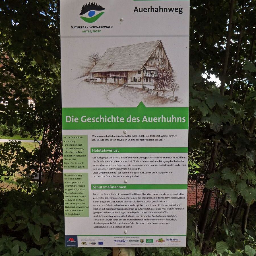 Geschichte des Auerhuhns Remsbach Bauernhof 5