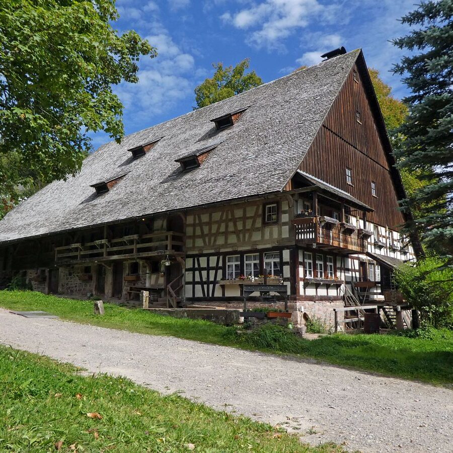 Geschichte des Auerhuhns Remsbach Bauernhof 7