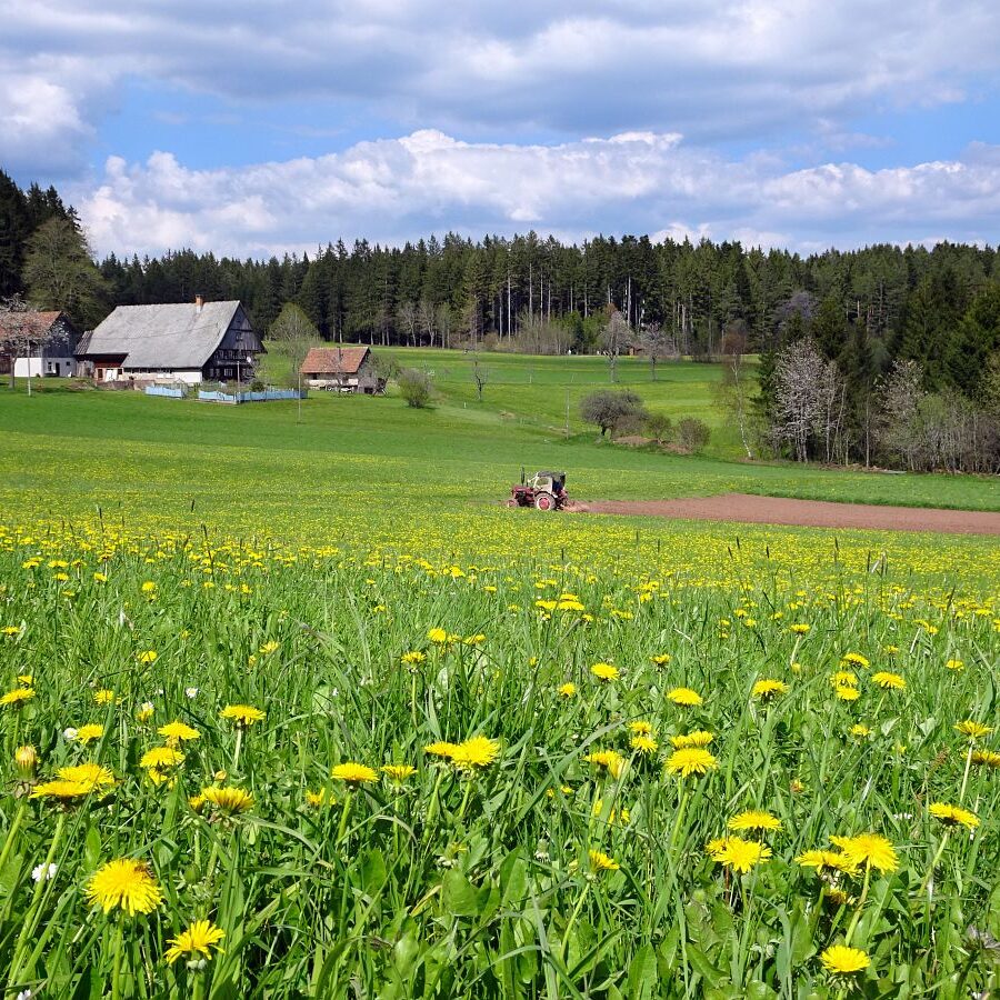 Getraenkestation auf dem Falken 1