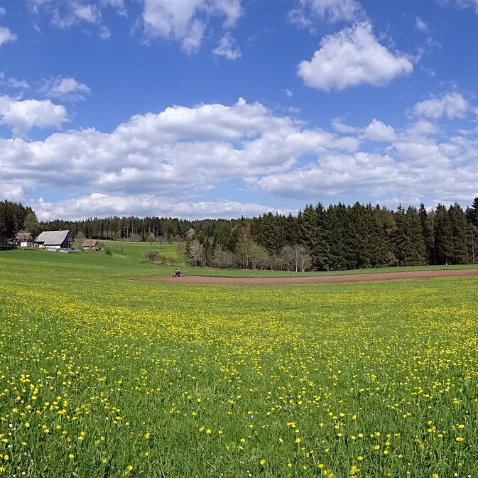 Getraenkestation auf dem Falken 2