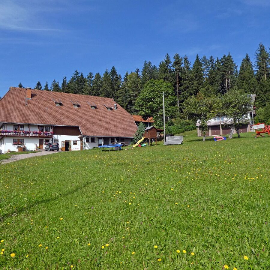 Getraenkestation auf dem Falken 3