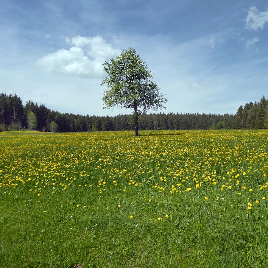 Getraenkestation auf dem Falken 4
