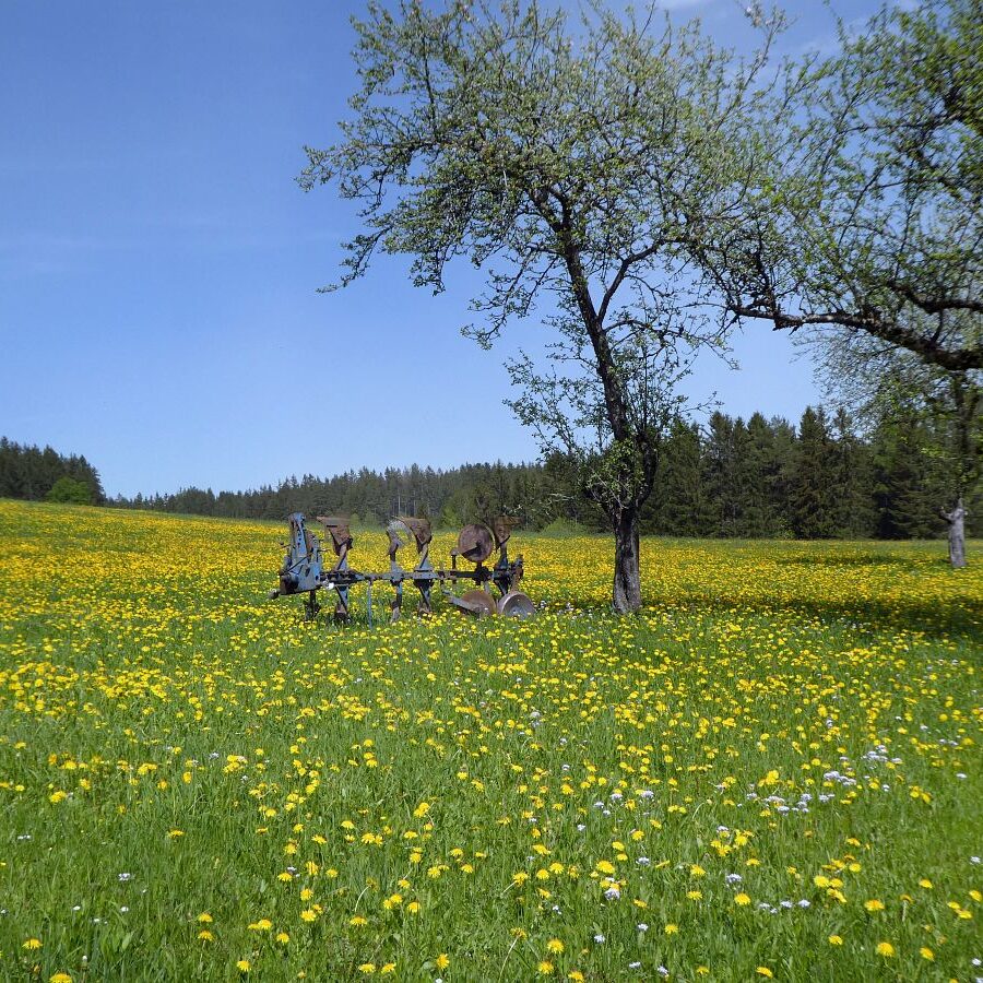Getraenkestation auf dem Falken 5