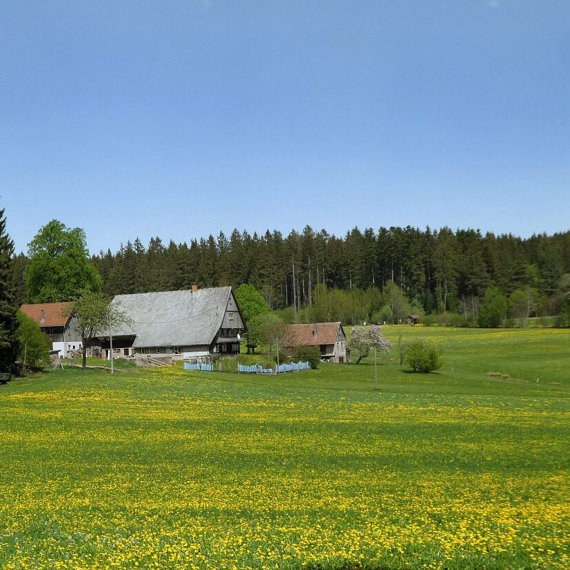 Getraenkestation auf dem Falken 6
