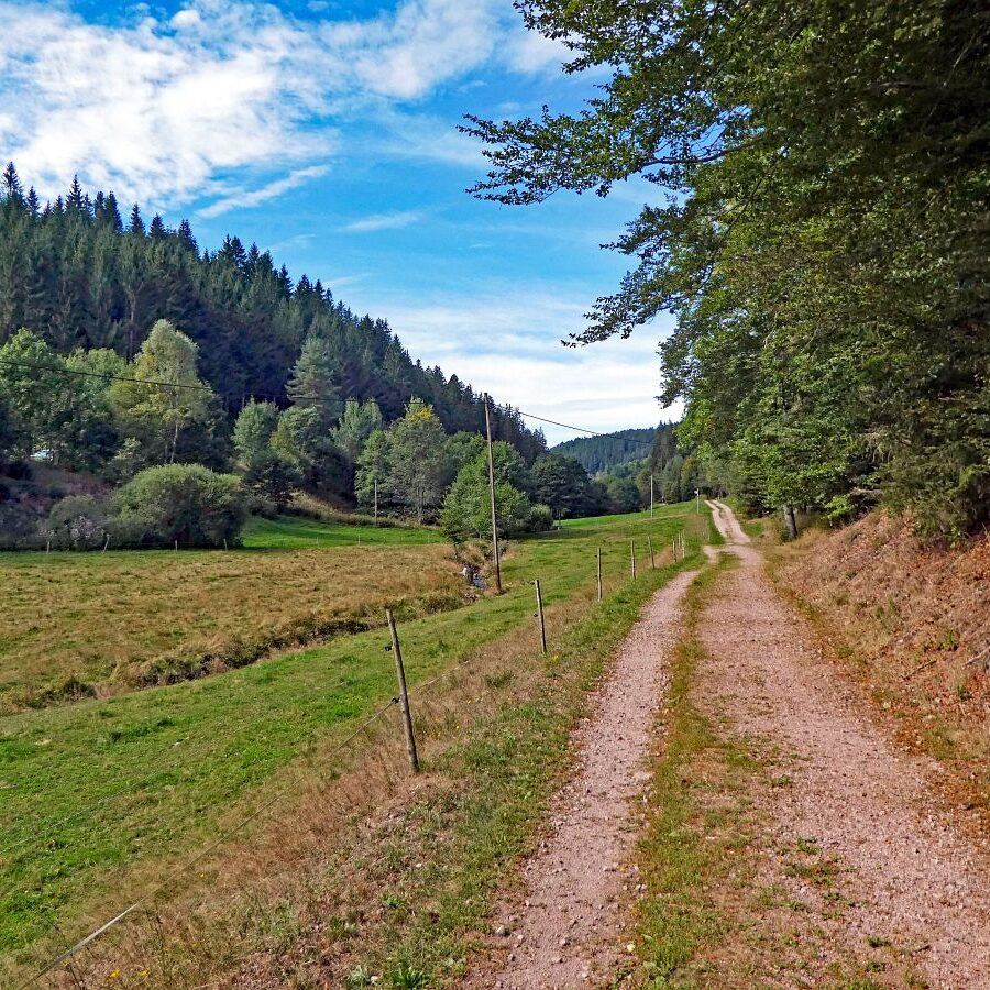 Infotafel im Eichbach 1