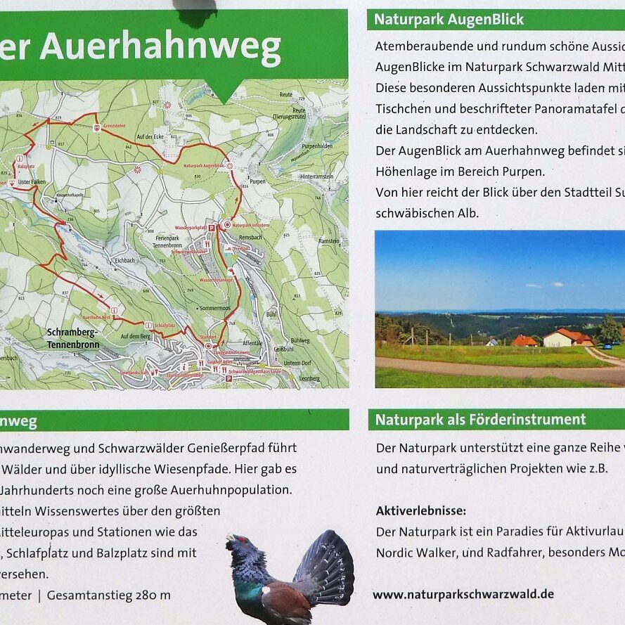 Infotafel im Eichbach 2