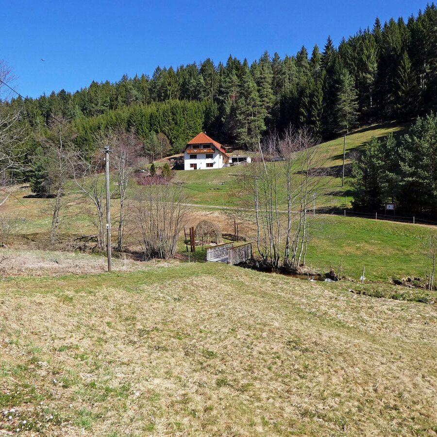 Infotafel im Eichbach 3
