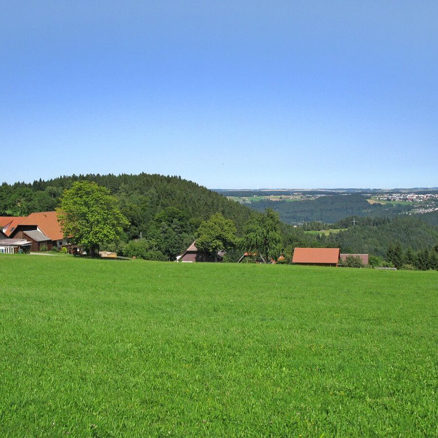 Naturpark Augenblick im Bereich Purpen 1