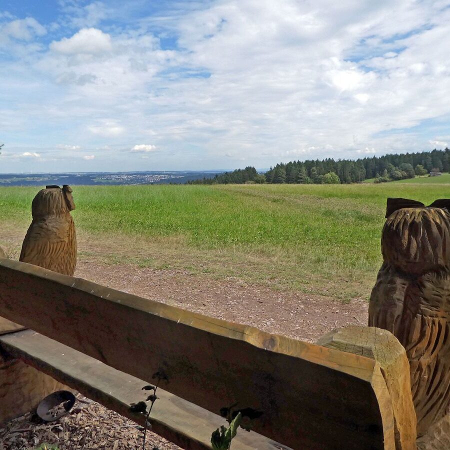 Naturpark Augenblick im Bereich Purpen 13