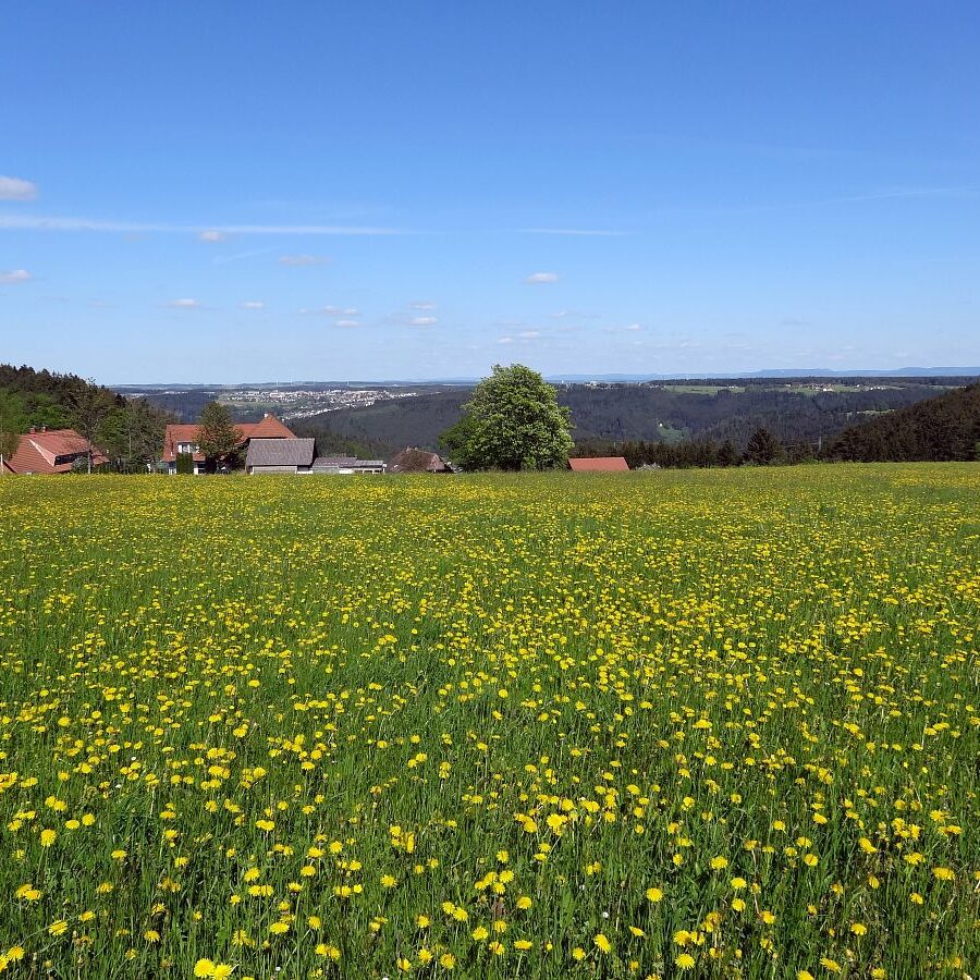 Naturpark Augenblick im Bereich Purpen 2