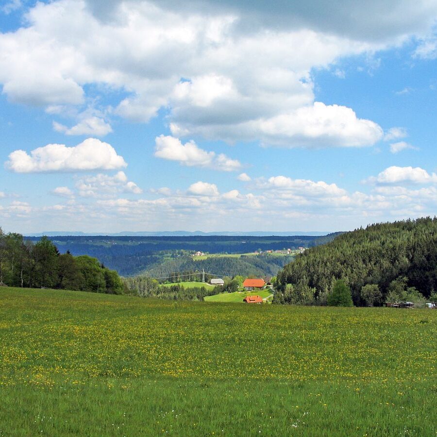 Naturpark Augenblick im Bereich Purpen 3