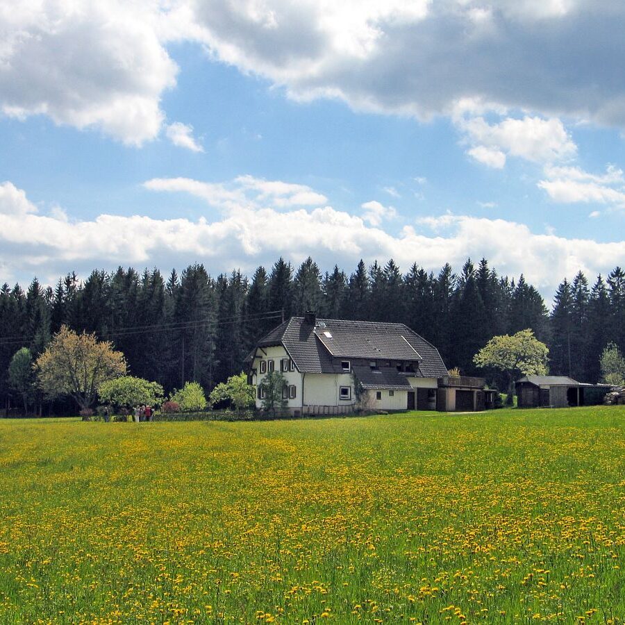 Naturpark Augenblick im Bereich Purpen 4