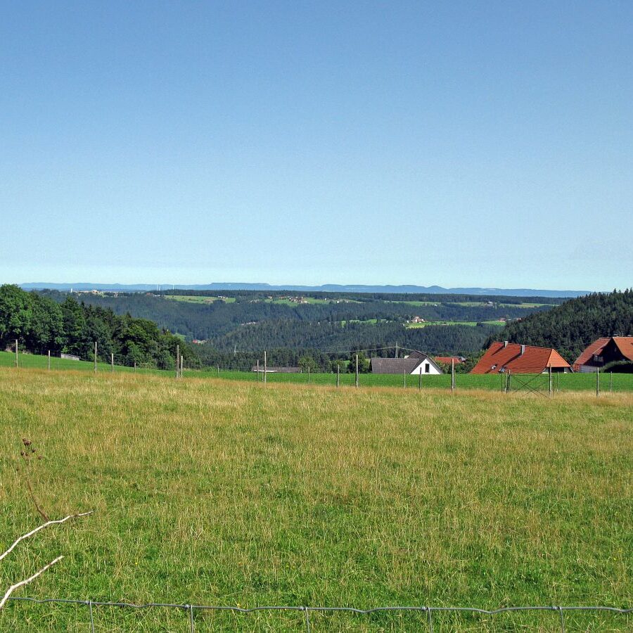 Naturpark Augenblick im Bereich Purpen 5