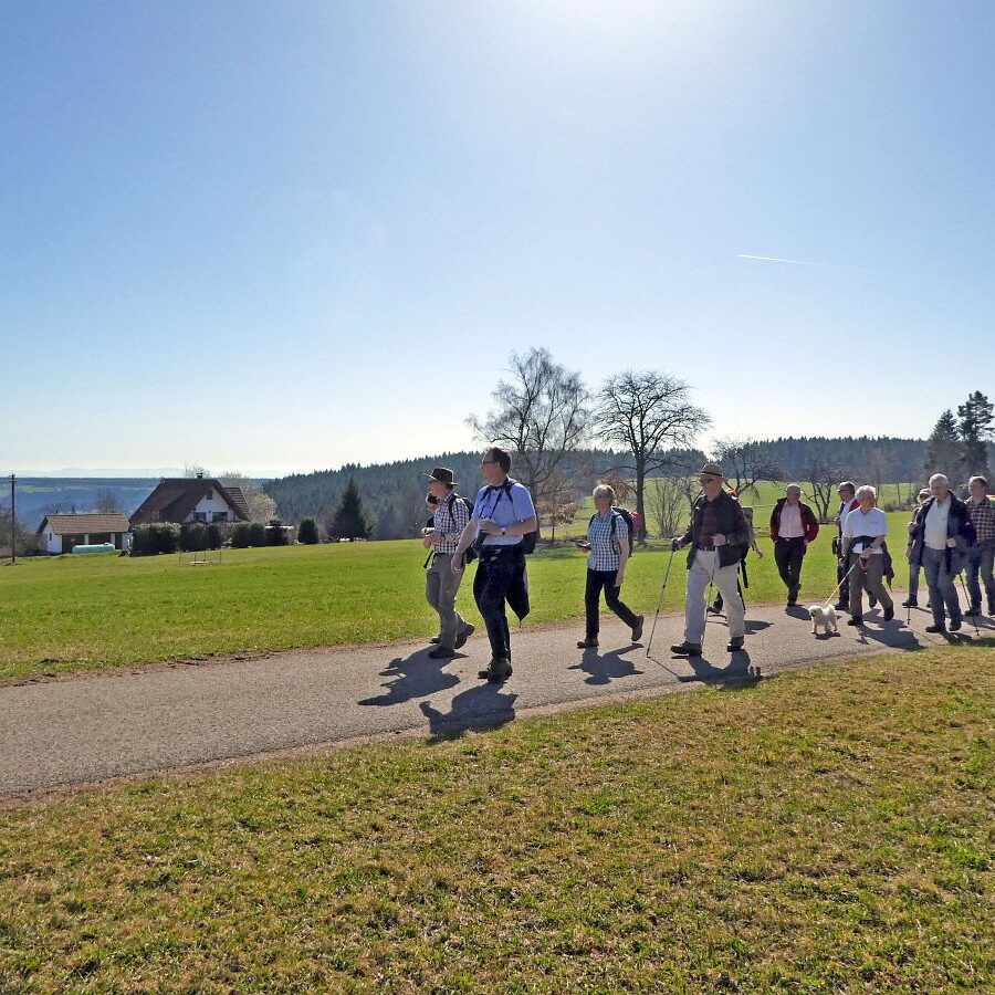 Naturpark Augenblick im Bereich Purpen 8