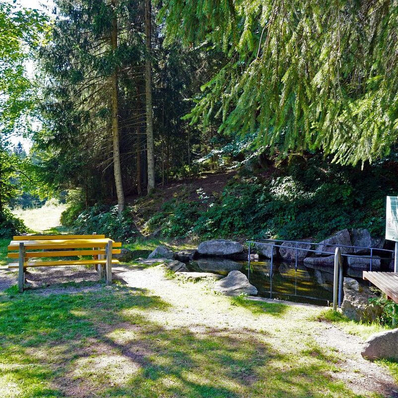 Wassertretanlage Kropfbrunnen 6